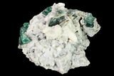 Aragonite Encrusted Fluorite Crystal Cluster - Rogerley Mine #143071-1